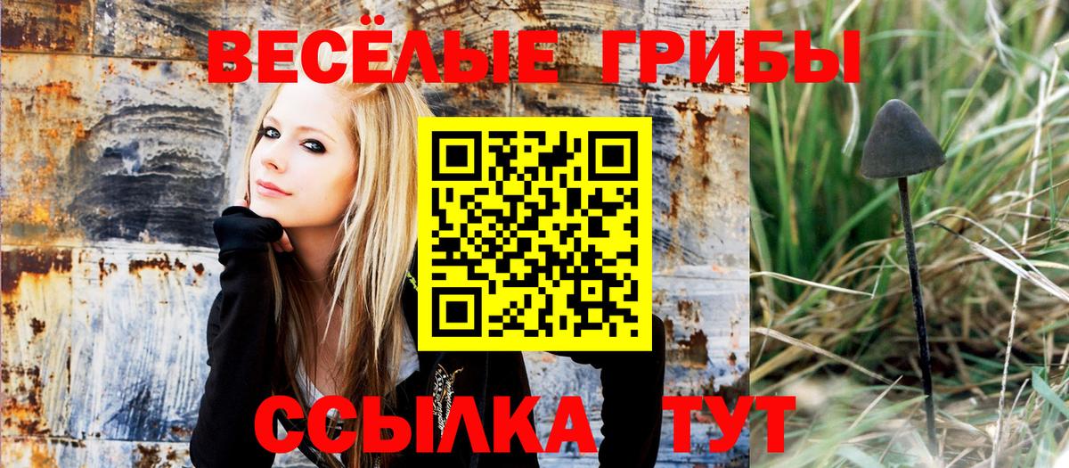 Галлюциногенные грибы Cubensis Куйбышев